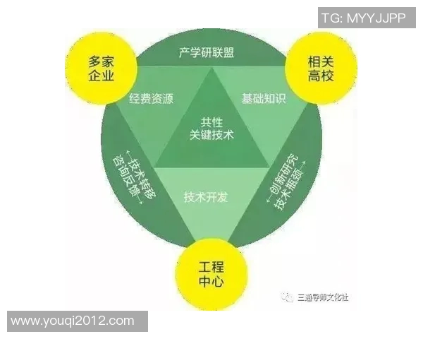 《强化团队协作提升整体效能探索与实践的路径与策略》