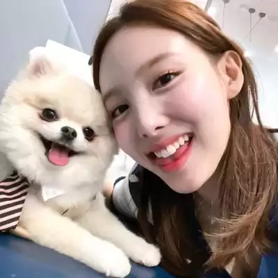 汪彗云
